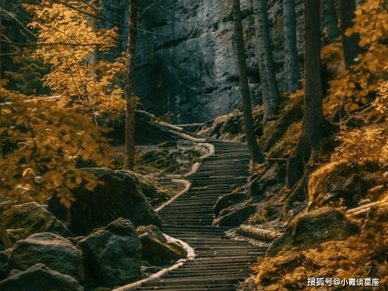 开云-西亚卡姆新星表现优异表现突出，热火前途光明！再创辉煌时刻-开云